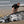 Load image into Gallery viewer, Takacat Sport T260S - 2025